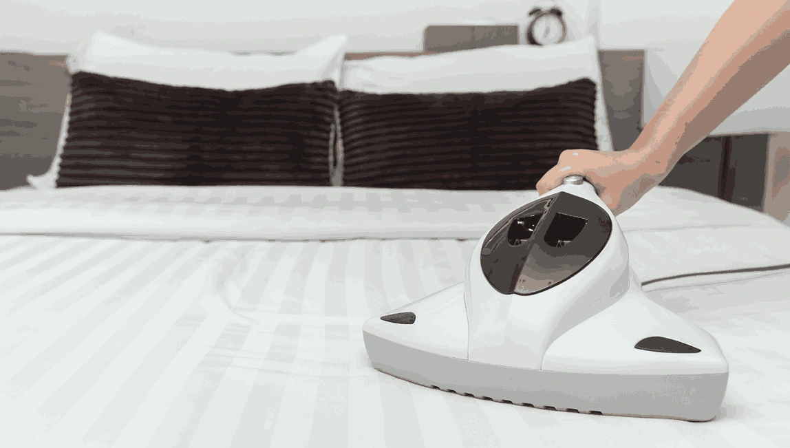 Professional Mattress Cleaning Indented Head